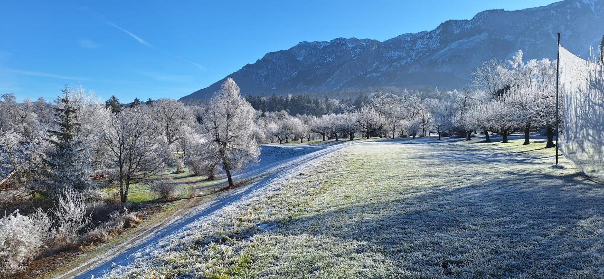 Schlossberghof Marzoll Bad Reichenhall Extérieur photo
